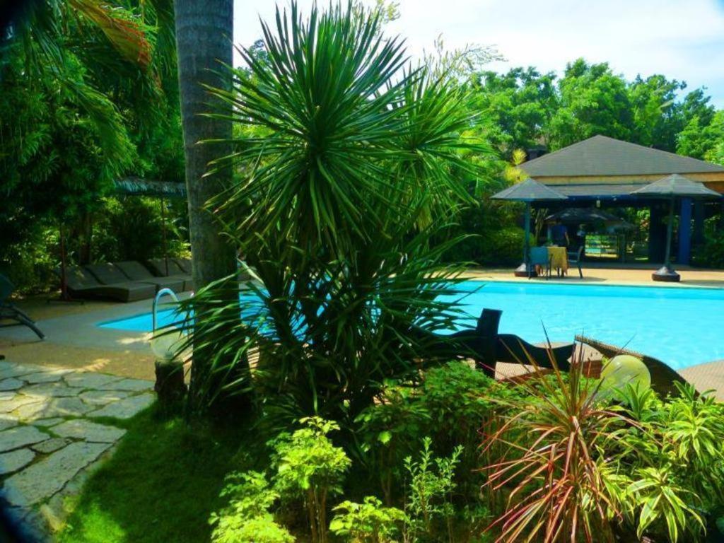 Alta Cebu Resort Exteriér fotografie
